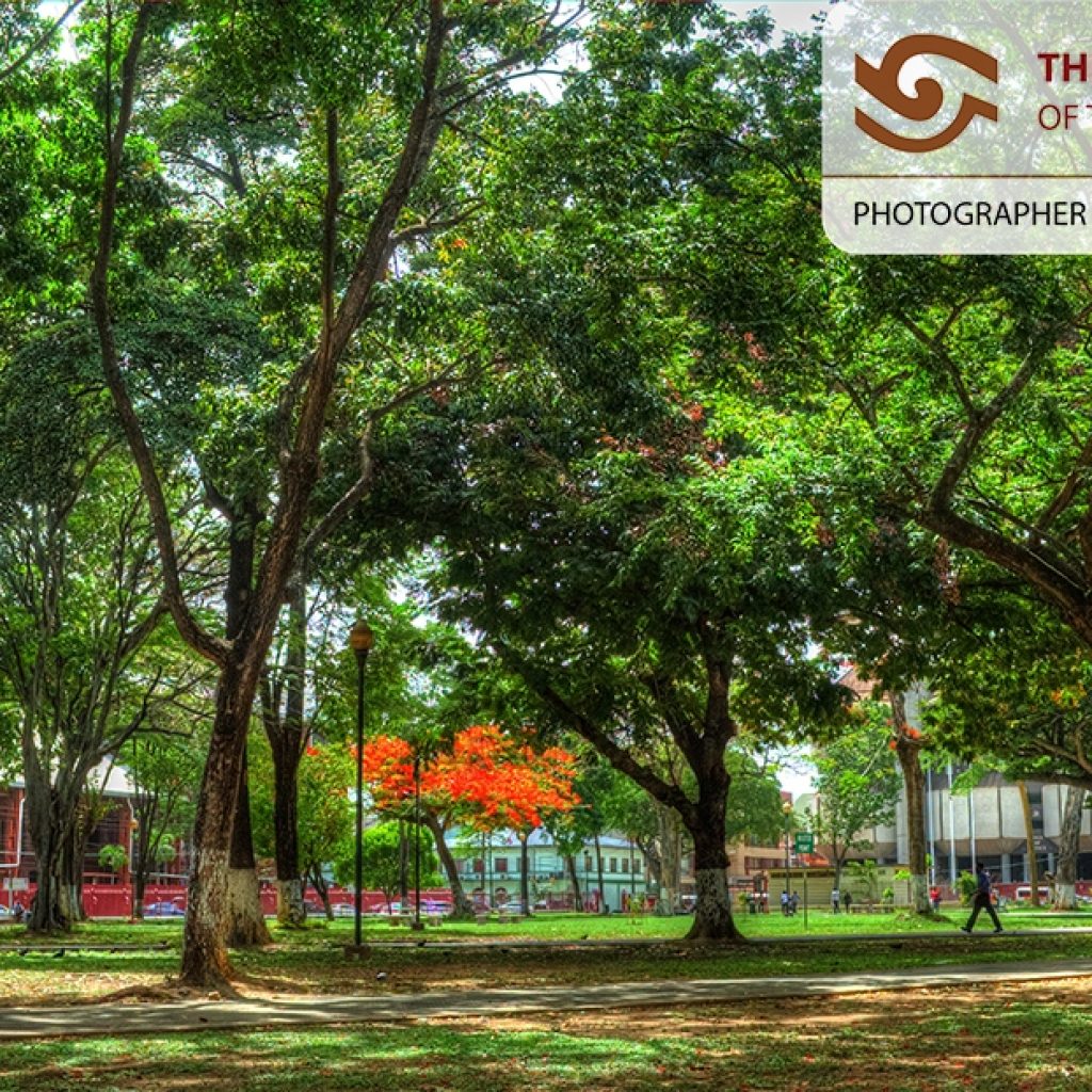Woodford Square — National Trust Of Trinidad And Tobago