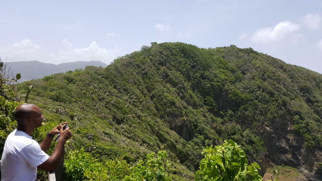 steep-cliffs-of-little-tobago