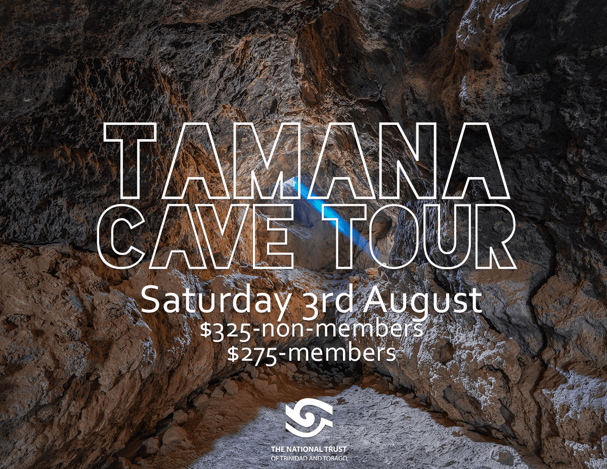 Tamana Cave Tour