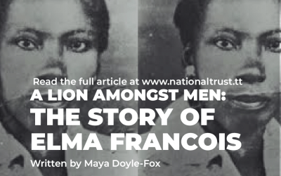 A Lion Amongst Men: The Story of Elma Francois