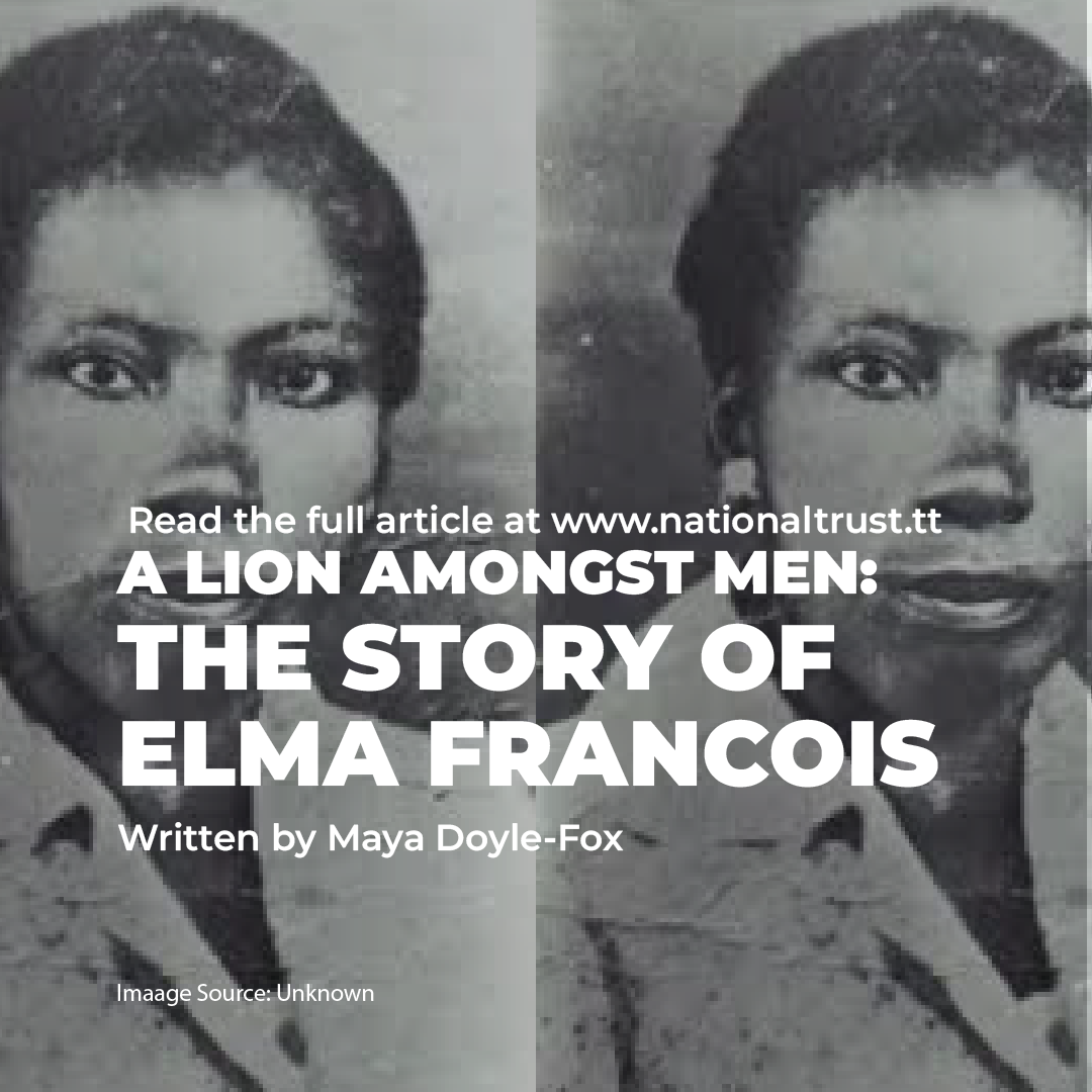 A Lion Amongst Men: The Story of Elma Francois