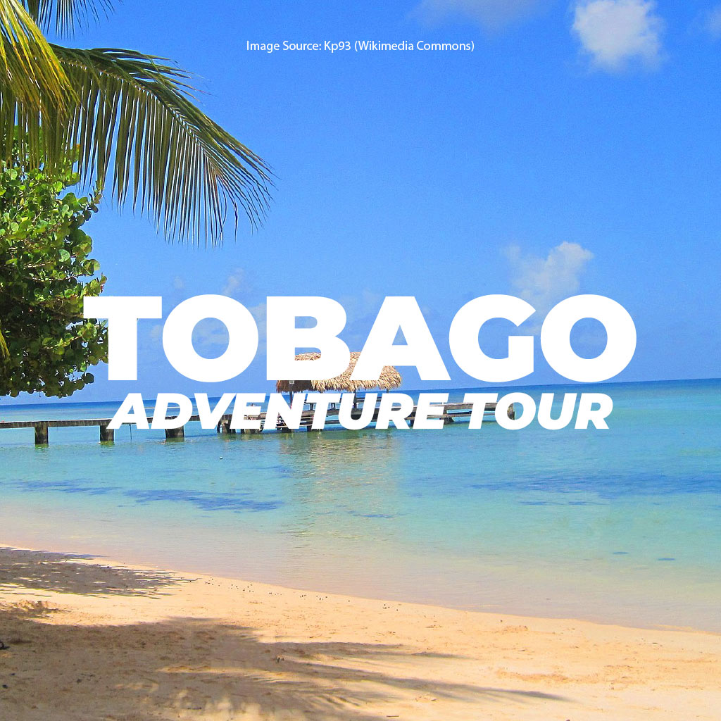 Tobago Adventure Tour