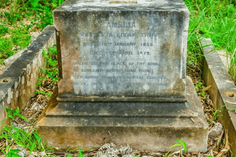 Tomb of Amelia Tripp