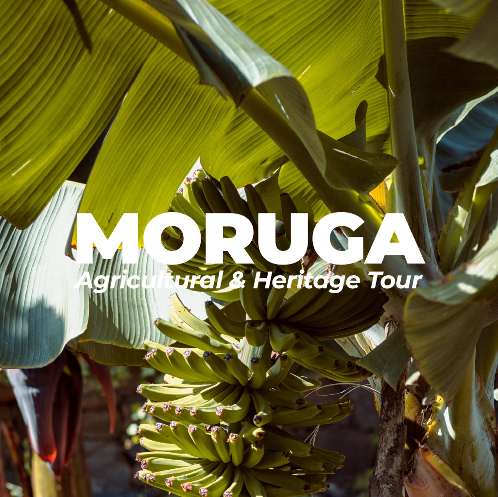 Moruga Agricultural and Heritage Tour