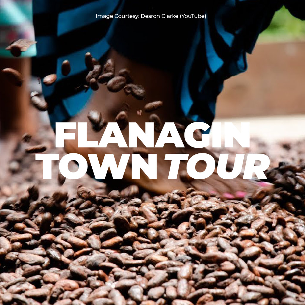 Flanagin Town Tour