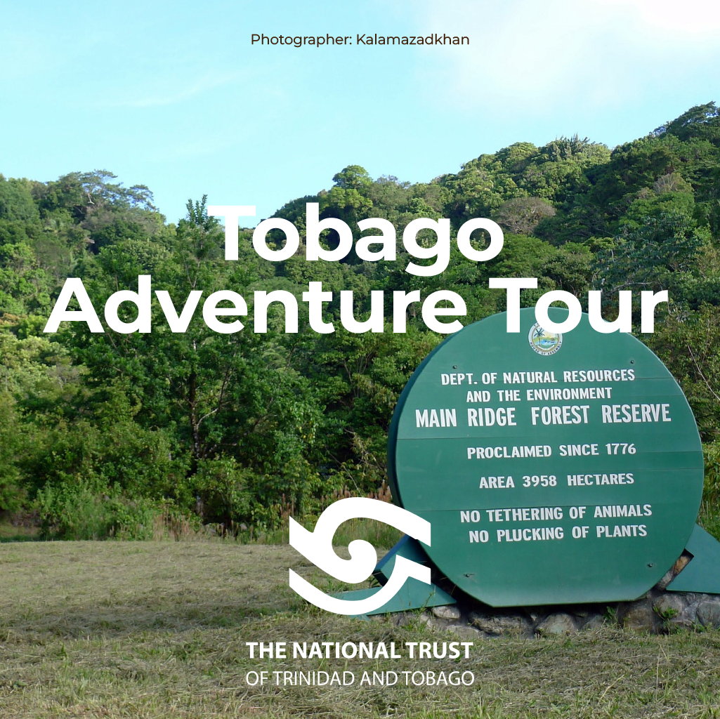 Tobago Adventure Tour