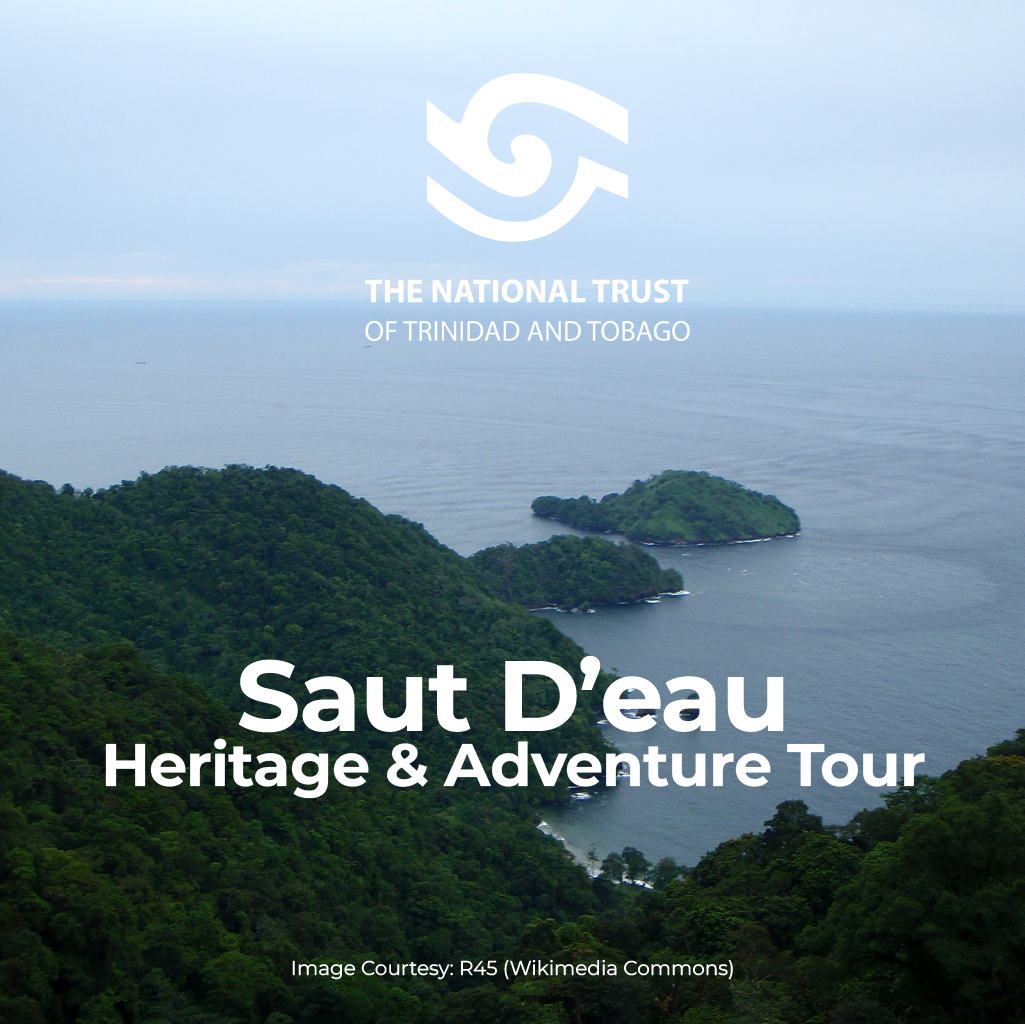 Saut D’eau Heritage and Adventure Tour