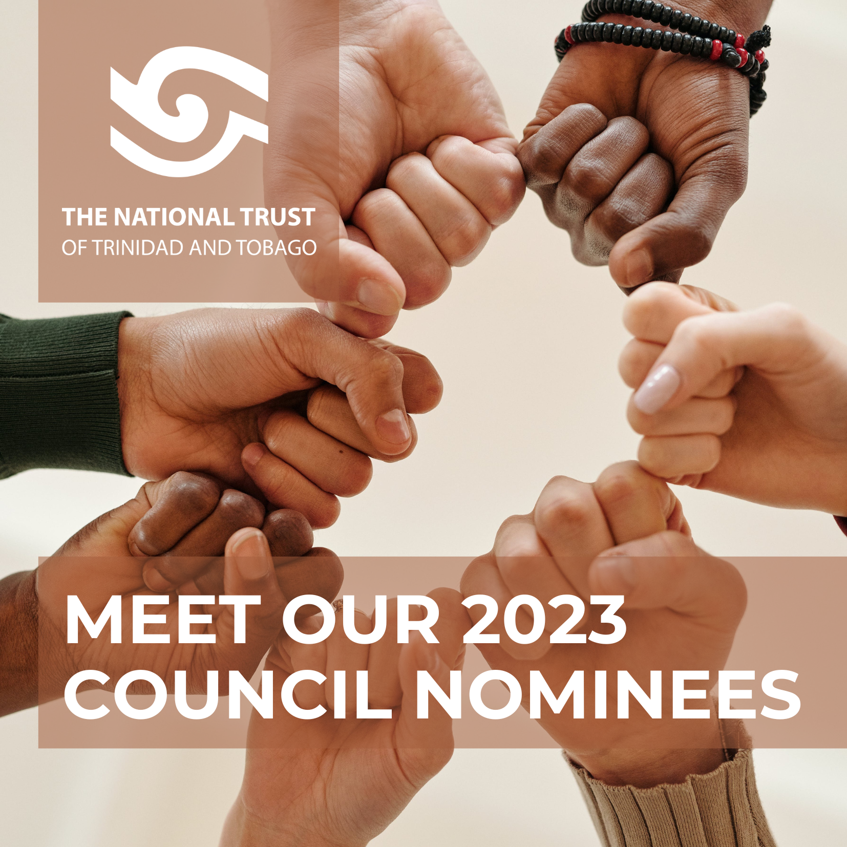 Meet Our Council Nominees