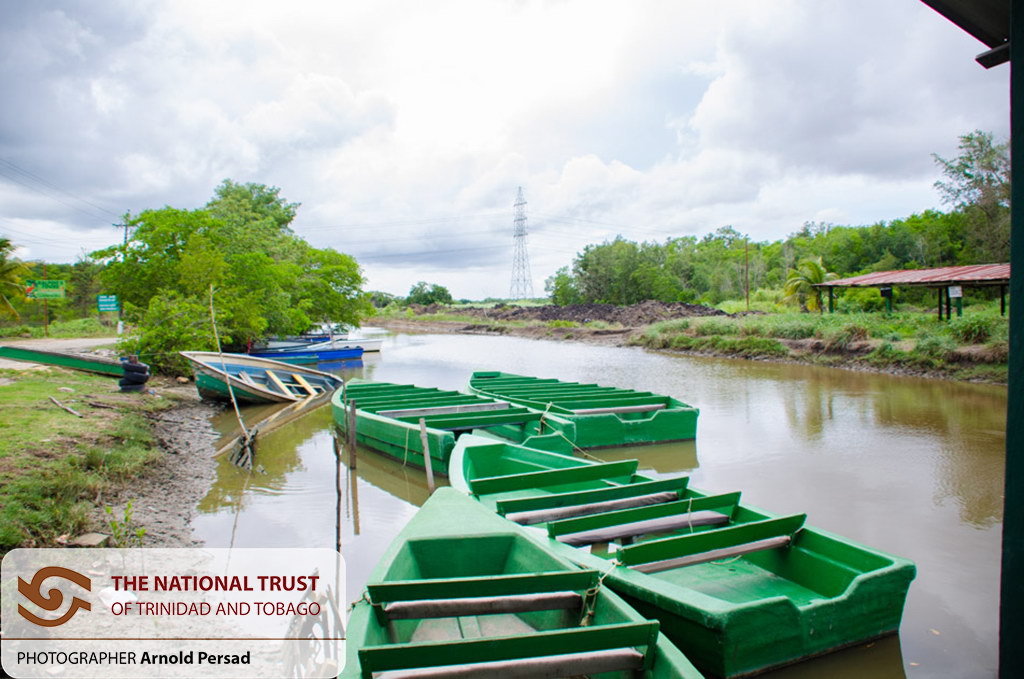 Happy World Environment Day!