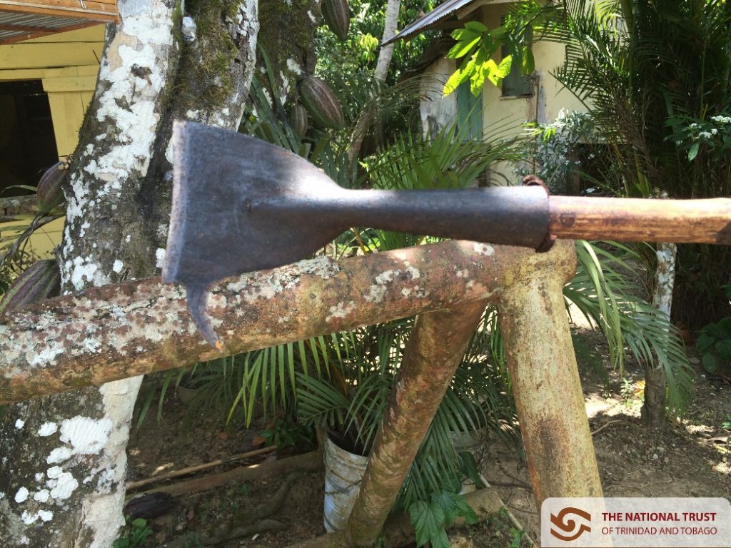 A Cocoa Knife – Tool used to cut the cocoa off of the branc