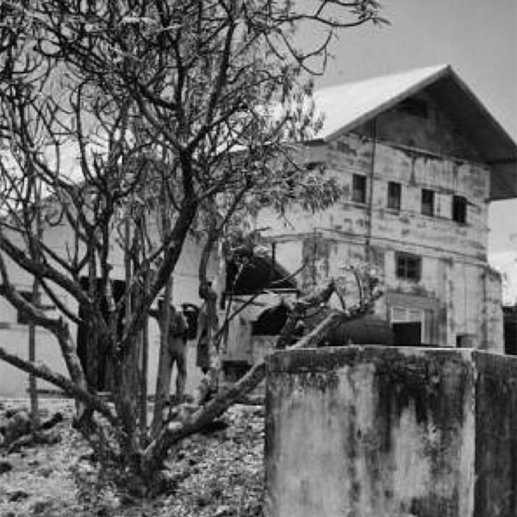 Nelson Island School Tours