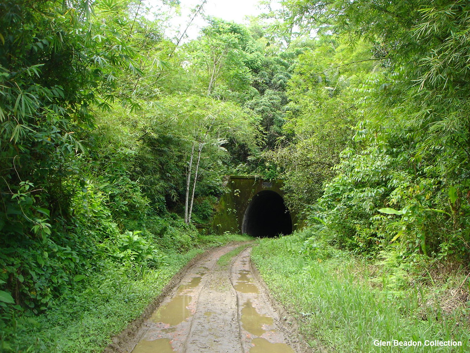 History of the Rio Claro Railway