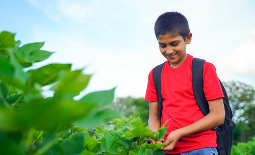 Nelson Island Heritage Site (Option 1) – 3 Hours