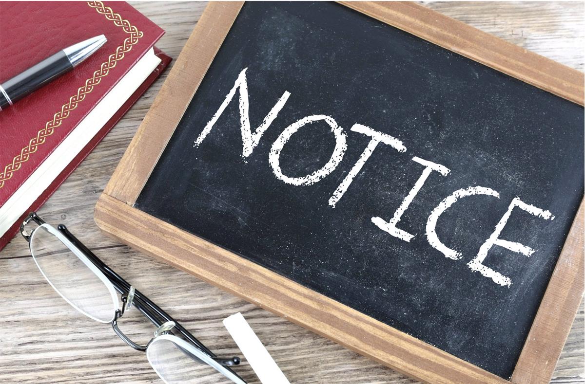Notice of a Virtual Extraordinary General Meeting