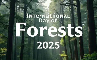 International Day of Forests 2025