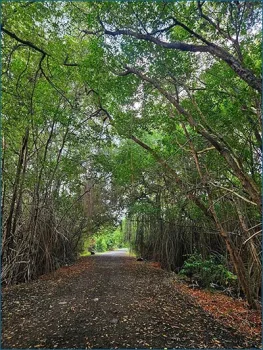 What's New on the Heritage Asset Inventory