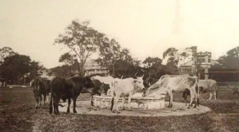 Heritage Assets in Trinidad and Tobago