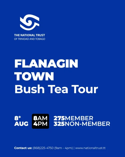Flanagin Town Bush Tea Tour | Saturday 8 August 2026