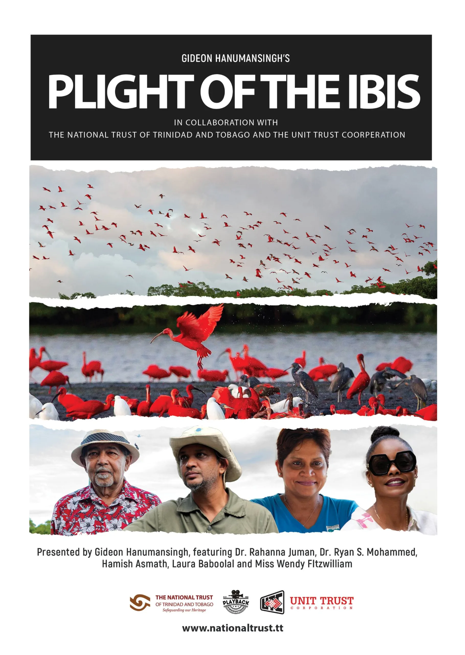 Plight of the Ibis: Premiere Screening and Reception - October 2026